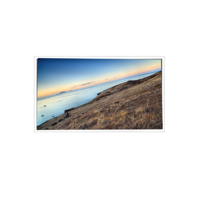 Bon prix MV185WHM-N10 18.5 pouces 1366*768 16.7M 99%sRGB Panneau LCD pour le secteur industriel en ligne