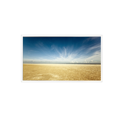 Bon prix 800*1280 10,1 pouces TV101WXM-NM0 500 cd/m2 Panneau LCD pour le Pad Tablet en ligne