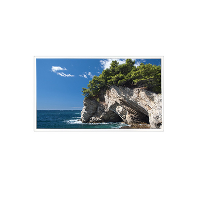 Bon prix TV101WXM-NM1 800*1280 10,1 pouces 39 broches 8S4PWLED Panneau LCD en ligne