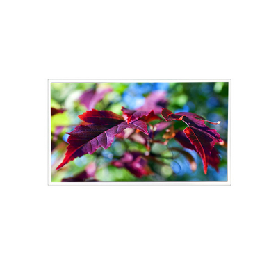 Bon prix TV116FHM-N00 1920*1080 11,6 pouces 60Hz 40 broches Moniteur d'écran LCD en ligne