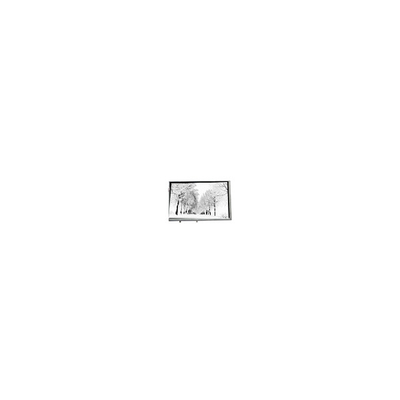 Bon prix 8.8 pouces 768*768 TPA088-001V02 16.7M 71% NTSC Panneau LCD pour le secteur industriel en ligne
