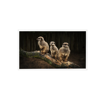 Bon prix RV150U0M-NI0 1600*1200 15,0 pouces écran LCD en ligne