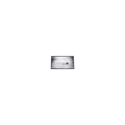 Bon prix Écran LCD 640*480 3,5 pouces PD035VX1 262K pour projecteur en ligne