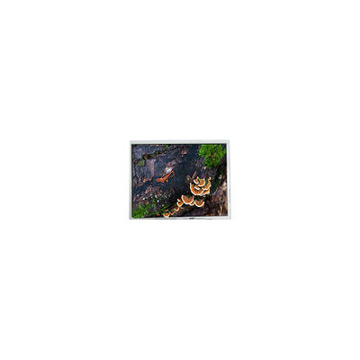 Bon prix 5.7 pouces PD057VU8 640*480 écran LCD 60Hz pour le secteur industriel en ligne