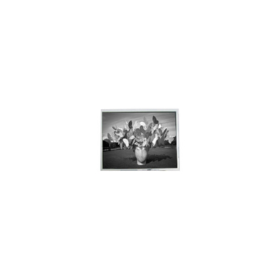 Bon prix PD104SLH 10,4 pouces 800*600 WLED 14 broches écran LCD en ligne