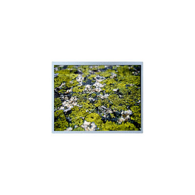 Bon prix 1024*768 12,1 pouces PD121XL9 4S6P WLED 60Hz écran LCD en ligne