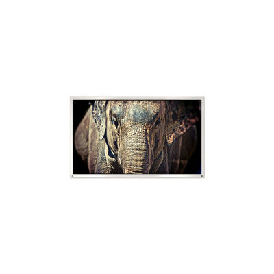 Bon prix PE040QX1 MiNi 4,0 pouces 320*240 1000:1 30 broches Panneau d'écran LCD en ligne