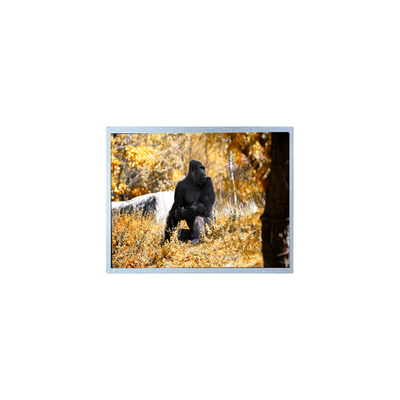 Bon prix Panneau d'écran LCD original de 7,0 pouces 800*480 PW070WX2 en ligne