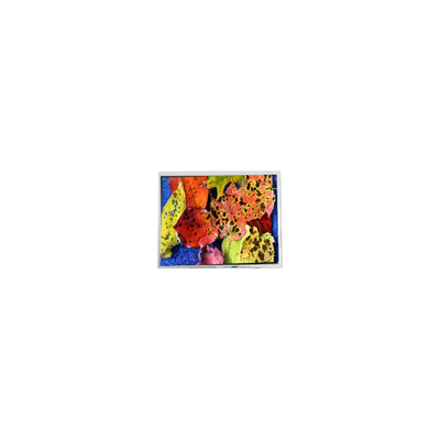 Bon prix Écran LCD LVDS de 10,4 pouces avec une largeur de 800*600 AM-80060K3TMQW-02H en ligne