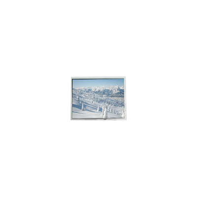 Bon prix AM-320240NTMCW-T00H-A(R) 5,7 pouces 320*240 Affichage LCD tactile en ligne