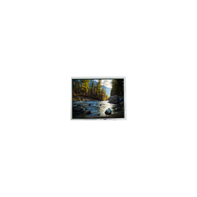 Bon prix 10.4 pouces AM640480ETMCW00 640*480 Écran LCD en ligne