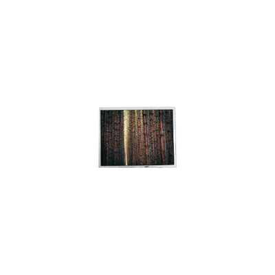 Bon prix Écran LCD original de 5,7 pouces 640*480 AM-640480G2TNQW-W0H 500 cd/m2 en ligne