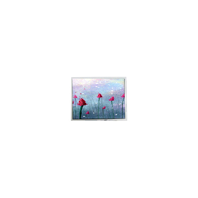 Bon prix AM-800480LTMQW-TW1H 5,0 pouces 800*480 écran LCD tactile en ligne