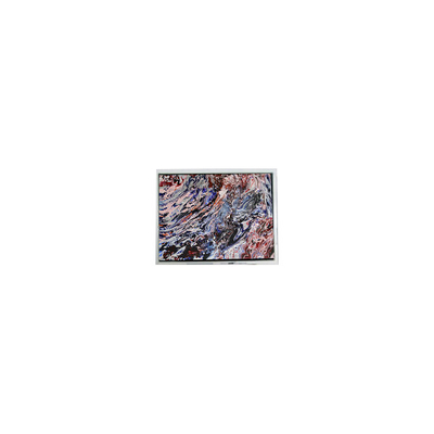 Bon prix Écran de panneau LCD de 5,0 pouces 800*480 AM-800480N3TZQW-70H en ligne