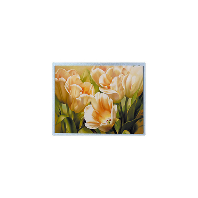 Bon prix 9.0 pouces 1024*600 AM-1024600Y2TZQW-A0H TFT 1200 cd/m2 Écran LCD en ligne