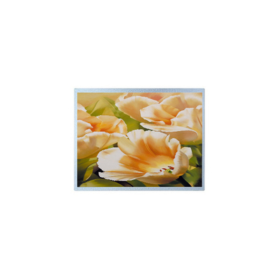 Bon prix 1024*600 AM-1024600Y3TZQW-A1H 9,0 pouces TFT 300 cd/m2 Parties d'écran LCD en ligne