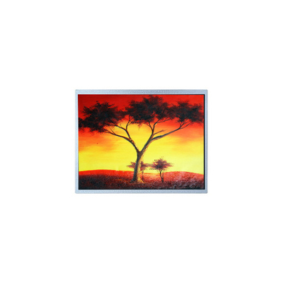 Bon prix AM-1024768Z6TZQW-00H 1024*768 12,1 pouces 1300 cd/m2 Écran LCD TFT en ligne