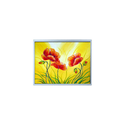 Bon prix AM-1280800W2TZQW-00H Écran LCD de 10,1 pouces pour haute luminosité extérieure en ligne