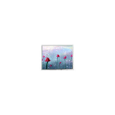Bon prix 5.2 pouces DMF5005N-SEW-ABE-CP 240*64 Affichage LCD à 70 Hz en ligne