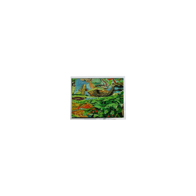 Bon prix DMF5010NB-FW 240*64 Écran LCD de 5,2 pouces en ligne