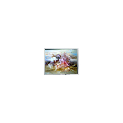 Bon prix Panneau LCD original de 9,6 pouces 640*200 DMF-50036ZNFU-FW pour le secteur industriel en ligne
