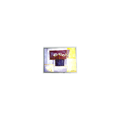Bon prix DMF50260NF-FW-15 9,4 pouces 640*480 15 broches écran LCD Pièces détachées en ligne