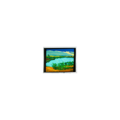 Bon prix L'écran LCD à écran LCD de 5,2 pouces 130 cd/m2 en ligne