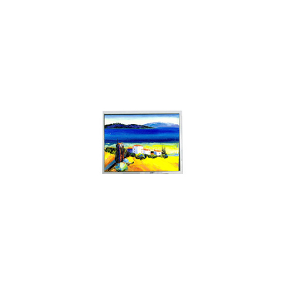 Bon prix Vente à chaud 5.4 pouces DMF50773NF-FW 240 * 128 22 broches écran LCD en ligne