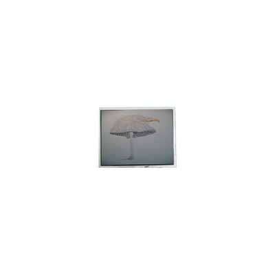 Bon prix 9.4 pouces DMF-51043NFU-FW 640*480 écran LCD en ligne