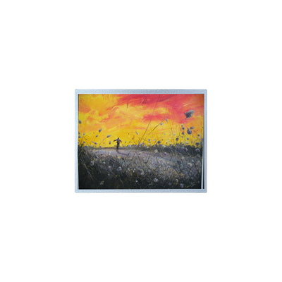 Bon prix F-55157GNB-FW-APN 320*240 5,7 pouces écran LCD en ligne