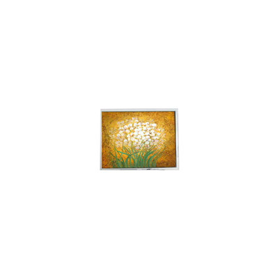 Bon prix 19.0 pouces T-55699D190J-LW-A-AAN Panneau LCD pour haute luminosité extérieure en ligne
