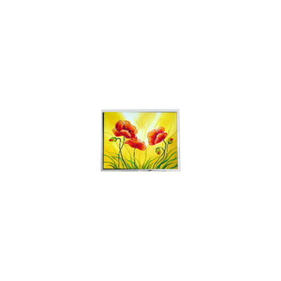 Bon prix L'écran LCD de 800*480 T-55711D080J-LW-A-AAN 8,0 pouces 1000 cd/m2 en ligne