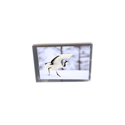 Bon prix 10.1 pouce TM101JVHG30-05 PCAP affichage TFT-LCD en ligne
