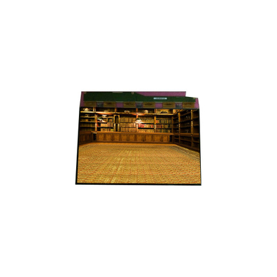 Bon prix Vente à chaud 1600*1200 TM201XDHP01 Affichage LCD LVDS de 20,1 pouces en ligne