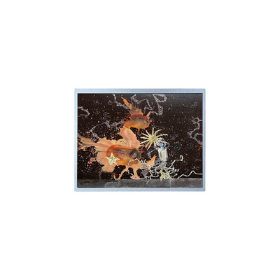 Bon prix 12.1 pouce P1210WXF1MA00 1280*800 Panneau LCD TFT WLED en ligne
