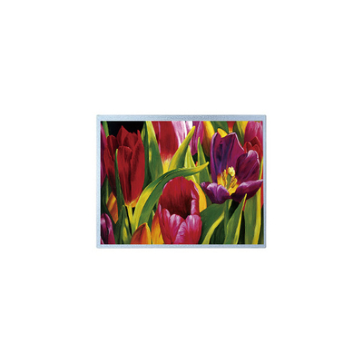 Bon prix Écran LCD TFT de haute qualité de 14,0 pouces P1400FHF1MA00 en ligne