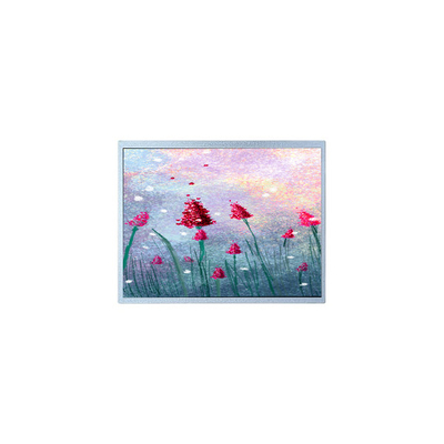 Bon prix P1900SXF1MA00 Moniteur LCD TFT de 19,0 pouces pour l'imagerie médicale en ligne