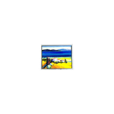 Bon prix HSD050JDW2-C10-0220 800*480 Écran LCD de 5,0 pouces en ligne