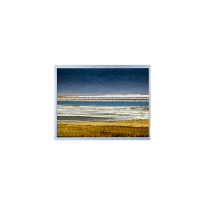 Bon prix 10.1 pouce HSD101GWW5-A00-0220 1280*800 Module d'affichage LCD en ligne