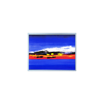 Bon prix Module d'écran LCD 1920*720 12,3 pouces HSD123JPW2-F10 en ligne