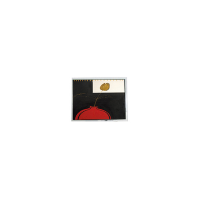 Bon prix nouveau module d'écran LCD de 5,7 pouces ER0570B2NC6 à 16 broches en ligne