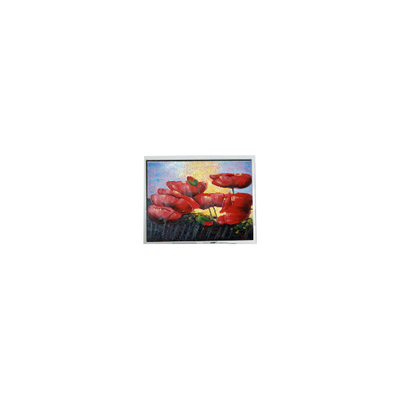 Bon prix 5.7 pouces 320*240 EW50352BCW écran LCD en ligne