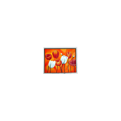 Bon prix EW50397BCW 4,7 pouces petit écran LCD 320*240 75Hz en ligne