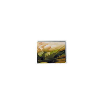 Bon prix Module d'écran tactile LCD de 5,0 pouces de haute qualité 320*240 COM50T5124GTC en ligne