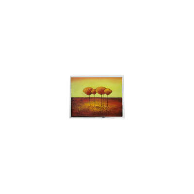 Bon prix dans le stock 6.5 pouces COM65H6115DLC 640*480 60Hz panneau LCD en ligne
