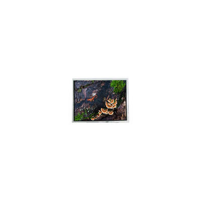 Bon prix nouveau module d'écran LCD WLED de 3 pouces 30WQF0H 240*400 5S1P en ligne