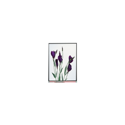 Bon prix Écran LCD de haute qualité de 5,8 pouces C058GWW1-0 pour projecteur en ligne