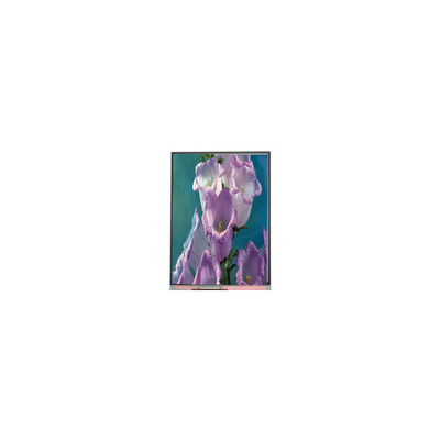 Bon prix 7.0 pouces C070AWPE-0 800*480 TFT écran LCD écran LCD Panneau industriel en ligne
