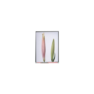 Bon prix C080SWW3-0 Écran LCD TFT de 8,0 pouces pour tablette en ligne