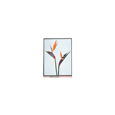 Bon prix 9.0 pouces C090NWP1 R0 800*480 TFT écran LCD en ligne